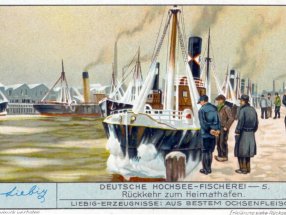 Liebigbild