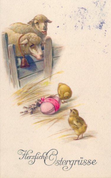 Osterlämmer